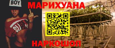 прущие грибы Краснознаменск