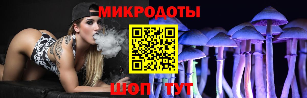 Шебекино  Галлюциногенные грибы Cubensis  Вход с VPN  Галлюциногенные грибы Cubensis 