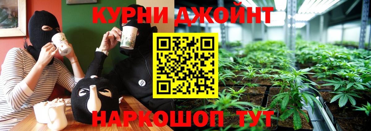 Шебекино  Бошки Шишки план  Шишки марихуана планчик  Вход с VPN  Бошки Шишки SATIVA & INDICA  Каннабис Amnesia 